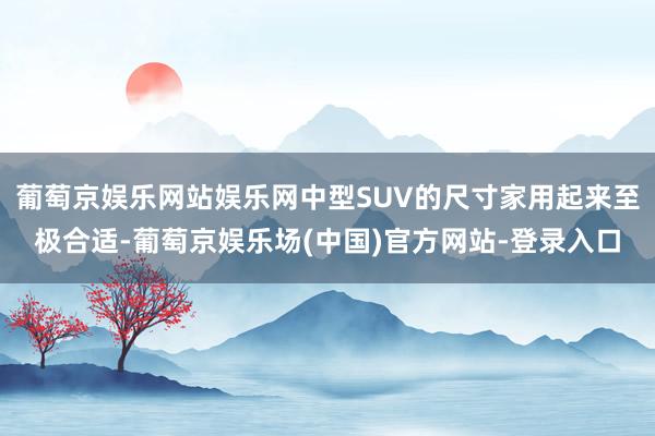 葡萄京娱乐网站娱乐网中型SUV的尺寸家用起来至极合适-葡萄京娱乐场(中国)官方网站-登录入口