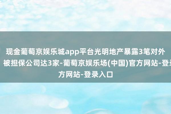现金葡萄京娱乐城app平台光明地产暴露3笔对外担保，被担保公司达3家-葡萄京娱乐场(中国)官方网站-登录入口