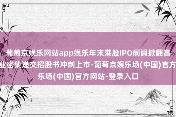 葡萄京娱乐网站app娱乐年末港股IPO阛阓掀翻高涨:近20家企业密集递交招股书冲刺上市-葡萄京娱乐场(中国)官方网站-登录入口