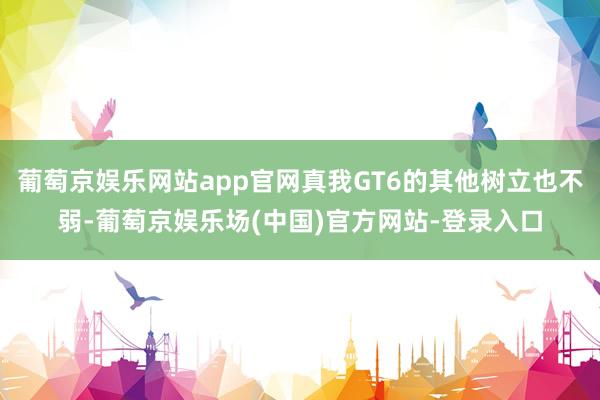 葡萄京娱乐网站app官网真我GT6的其他树立也不弱-葡萄京娱乐场(中国)官方网站-登录入口