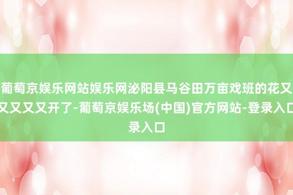 葡萄京娱乐网站娱乐网泌阳县马谷田万亩戏班的花又又又又又开了-葡萄京娱乐场(中国)官方网站-登录入口