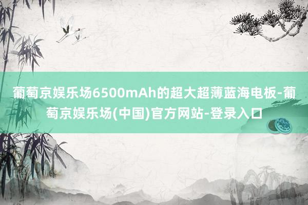 葡萄京娱乐场6500mAh的超大超薄蓝海电板-葡萄京娱乐场(中国)官方网站-登录入口